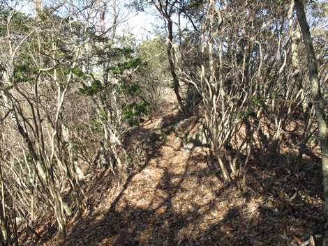 20140103hike (113)